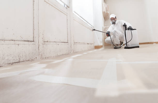 24/7 Emergency Mold Remediation experts in Willowbrook, IL